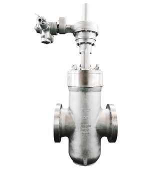 Pressure Self Seal Slab Gate Valve