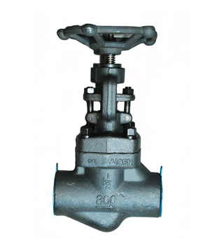 Forged Globe Valve