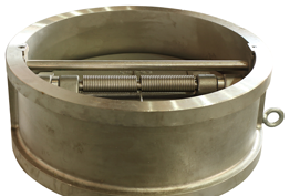 What are the different type of Check Valves?